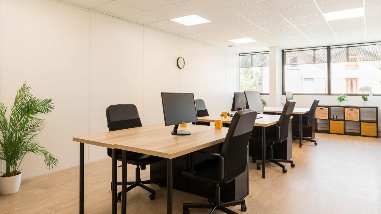 Local d'activité Villeurbanne 1742m² Location local d'activité Villeurbanne Rhône OLACT2109416 10
